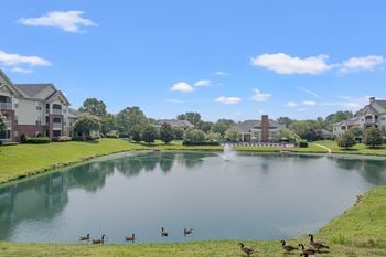 Community pond